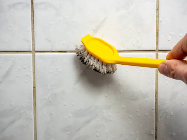 Best Professional Mold Removal  in South Monroe, MI