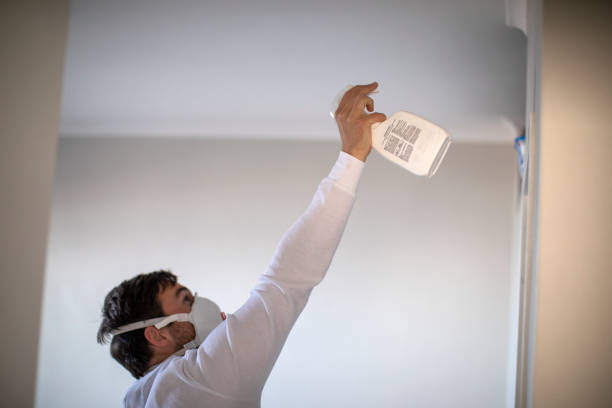  South Monroe, MI Mold Removal Pros
